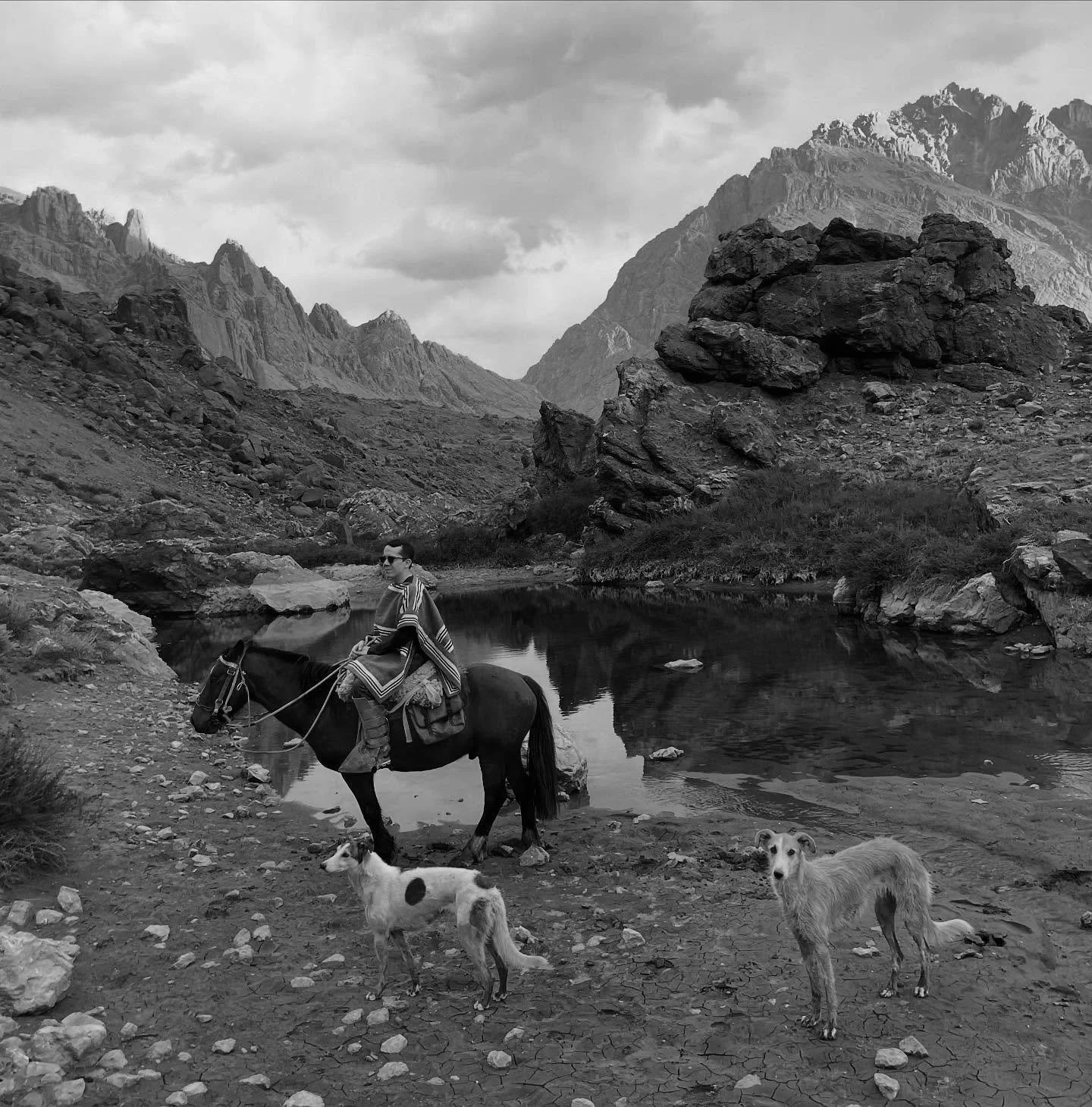 A rider in a poncho on horseback beside a pool in a high mountain valley, with two dogs in the foreground